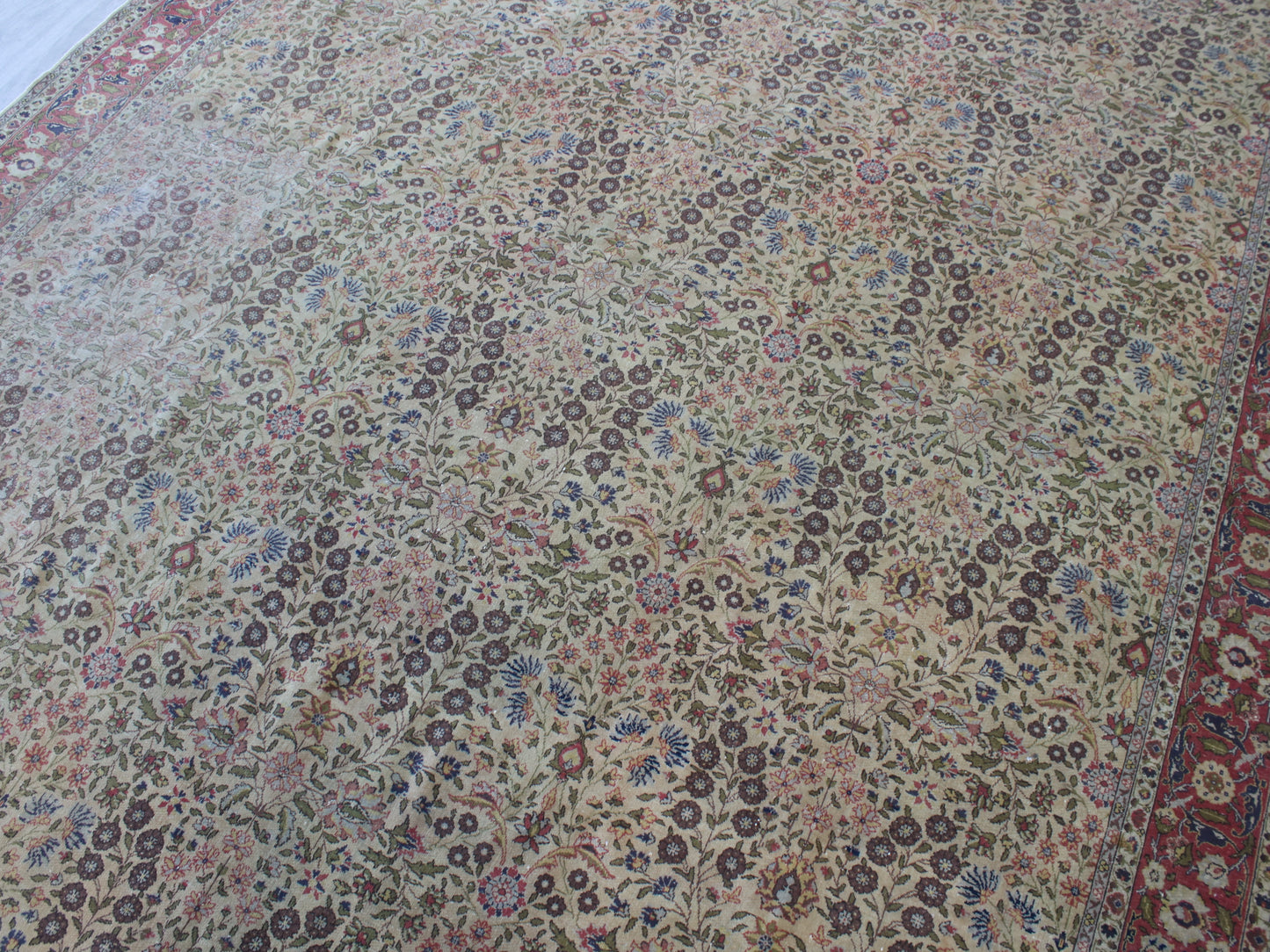 A traditional Persian-style area rug with an intricate floral and vine pattern in beige, brown, pink, blue, and green, featuring a red patterned border.
