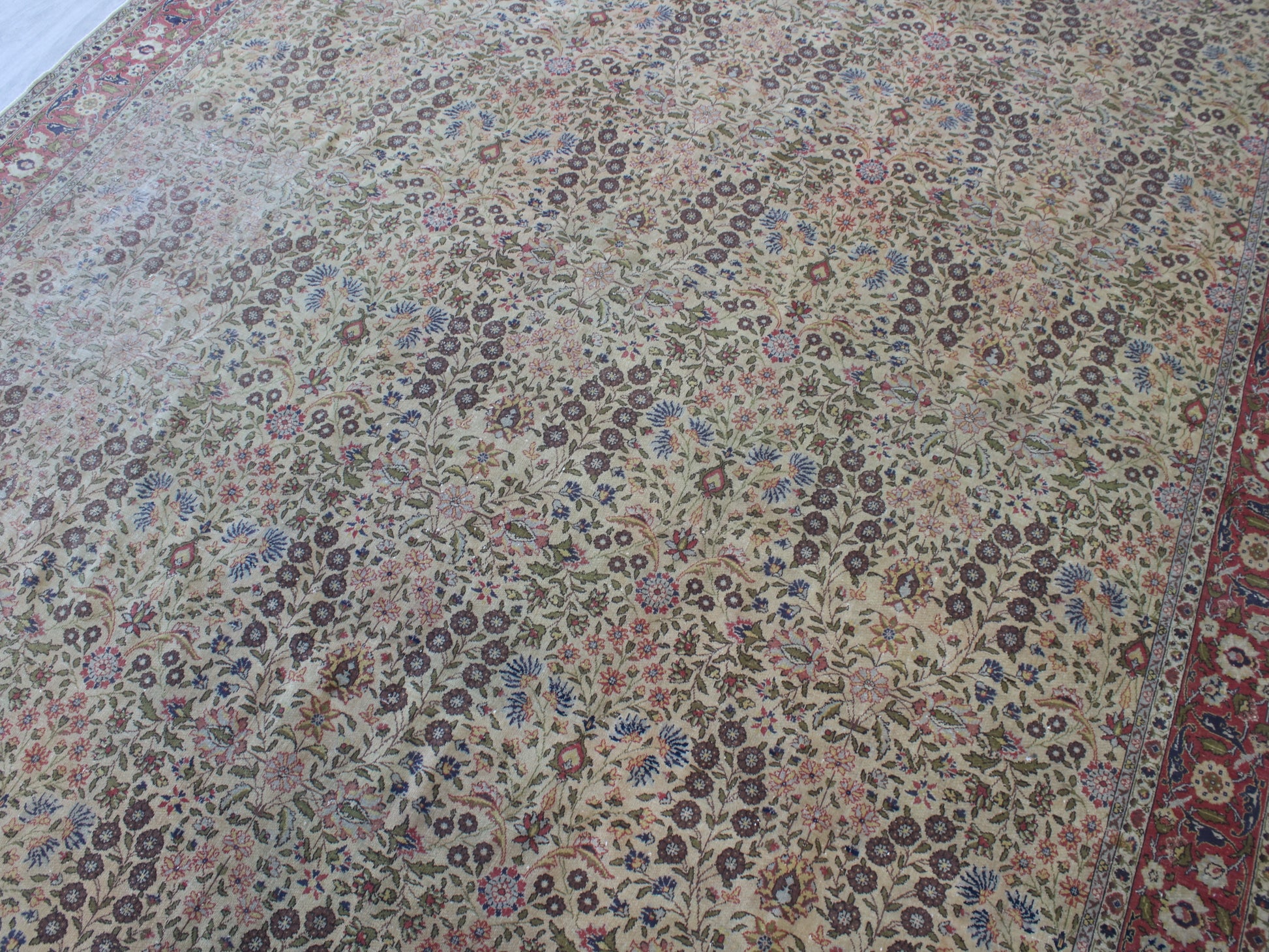A traditional Persian-style area rug with an intricate floral and vine pattern in beige, brown, pink, blue, and green, featuring a red patterned border.